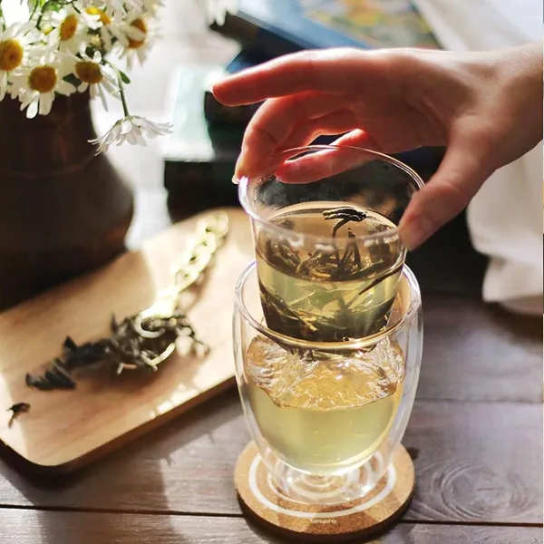 Double_Wall_Drinking_Cup_with_Glass_Filter_and_Lid_Cups