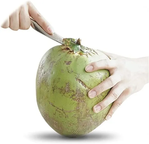 Stainless_Steel_Coconut_Driller_Knife