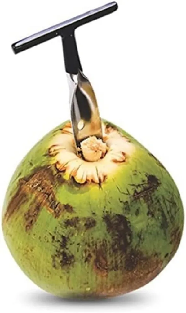 Stainless_Steel_Coconut_Driller_Knife