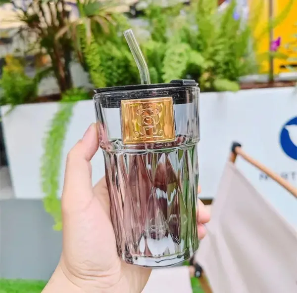 Glass_sipper_mug_with_glass_straw_pack_of_1