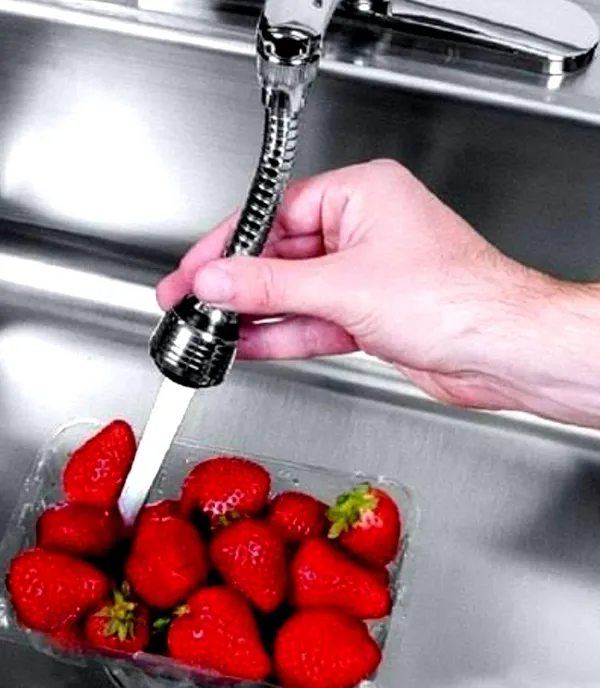 Silver_�??Stainless_Steel,_Flexible_Water_Saving_Nozzle_Faucet_Sprayer_For_�??Adult_Pack_Of_1