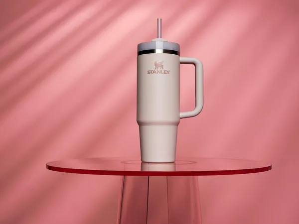 Stanley_Quencher_H2.0_FlowState_Stainless_Steel_Vacuum_Insulated_Tumbler_with_Lid_and_Straw_for_Water,_Iced_Tea_or_Coffee,_Smoothie_and_More,_Flint,_900ml