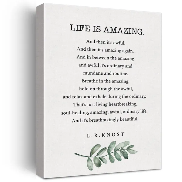 Multicolor_Inspirational_Life_is_Amazing_and_Then_It's_Awful_Poem_Print_Canvas_Wall_Art_Home_Decor_Painting_12x15_Canvas_Poster_Framed_Ready_to_Hang
