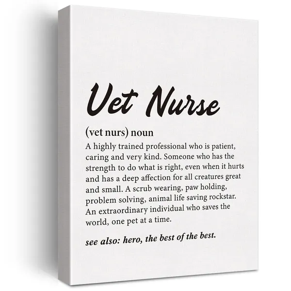 Multicolor_Vet_Nurse_Gift_Vet_Nurse_Definition_Print_Canvas_Wall_Art_Home_Office_Decor_Modern_Vet_Nurse_Painting_12_x_16_Canvas_Poster_Framed_Ready_to_Hang_Artwork