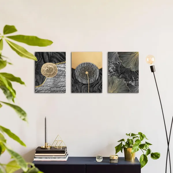 Multicolor_3_Pieces_Black_and_Gold_Tree_Ring_Wall_Art_Decor_Grey_Annual_Rings_Golden_Dandelion_Ginkgo_Leaf_Canvas_Prints_Nature_Bark_Texture_Picture_|_For_Modern_Home_Living_Room_Bedroom_12x16inchx3pcs