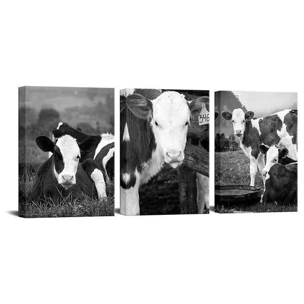 Multicolor_3Panel_Country_Farmhouse_Canvas_Wall_Art_Cattle_Cow_Pictuer_Painting_Wildlife_Home_Artwork_Print_Black_and_White_Bathroom_Office_Dining_Room_Decorate_12x16inchx3pcs