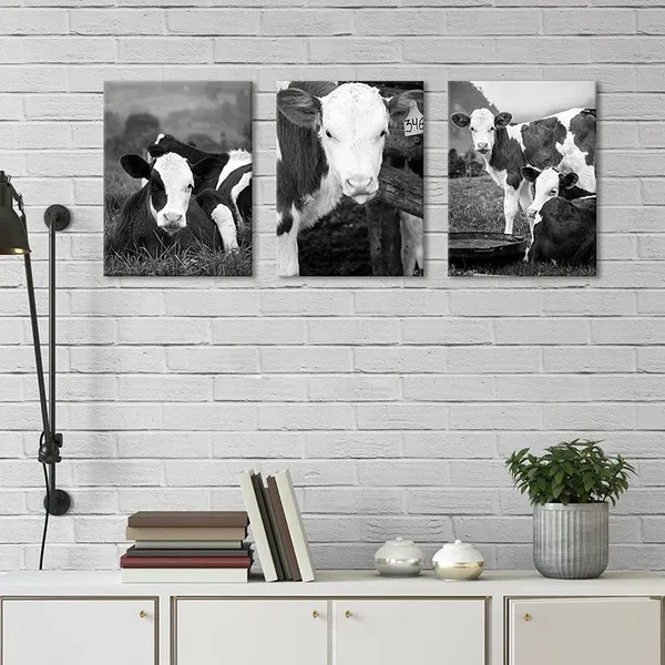 Multicolor_3Panel_Country_Farmhouse_Canvas_Wall_Art_Cattle_Cow_Pictuer_Painting_Wildlife_Home_Artwork_Print_Black_and_White_Bathroom_Office_Dining_Room_Decorate_12x16inchx3pcs