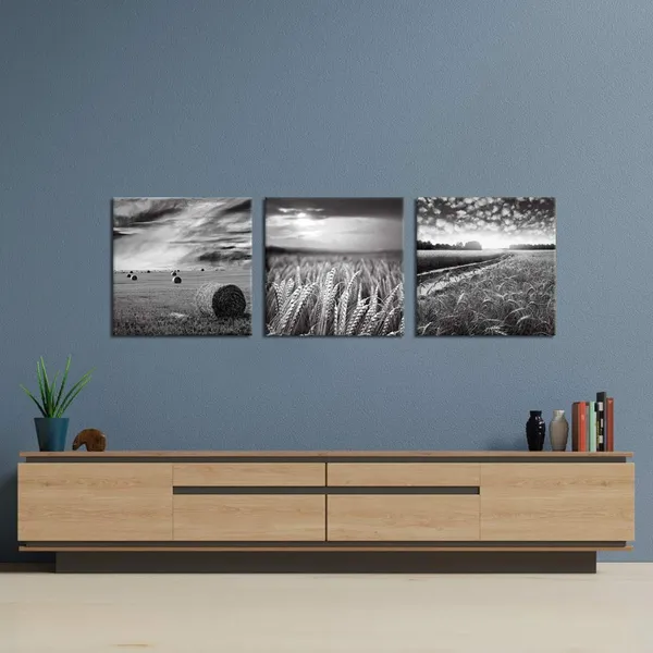 Multicolor_3_Piece_Canvas_Wall_Art_|_For_Kitchens_Black_and_White_Wheat_Field_Picture_Wall_Decor_Texas_Countryside_Landscape_Painting_Modern_Home_Farmhouse_Decoration_Stretched_and_Framed_Ready_to_Hang