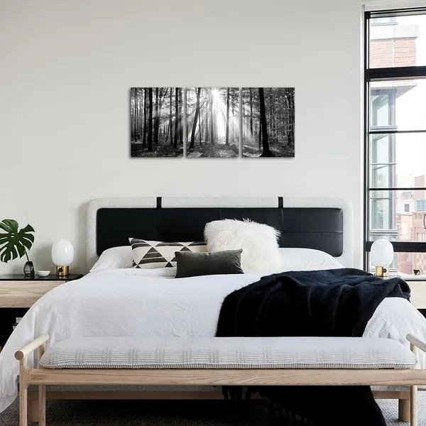 Multicolor_Black_and_White_|_Forest_Sunshine_Wall_Art
