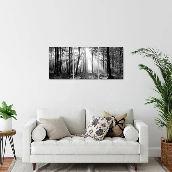 Multicolor_Black_and_White_|_Forest_Sunshine_Wall_Art