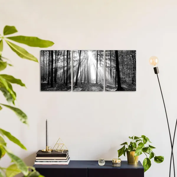 Multicolor_Black_and_White_|_Forest_Sunshine_Wall_Art