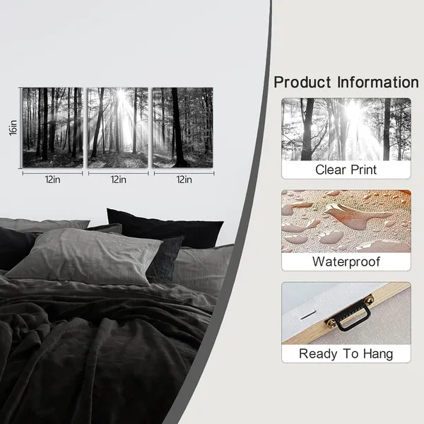 Multicolor_Black_and_White_|_Forest_Sunshine_Wall_Art