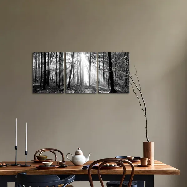 Multicolor_Black_and_White_|_Forest_Sunshine_Wall_Art