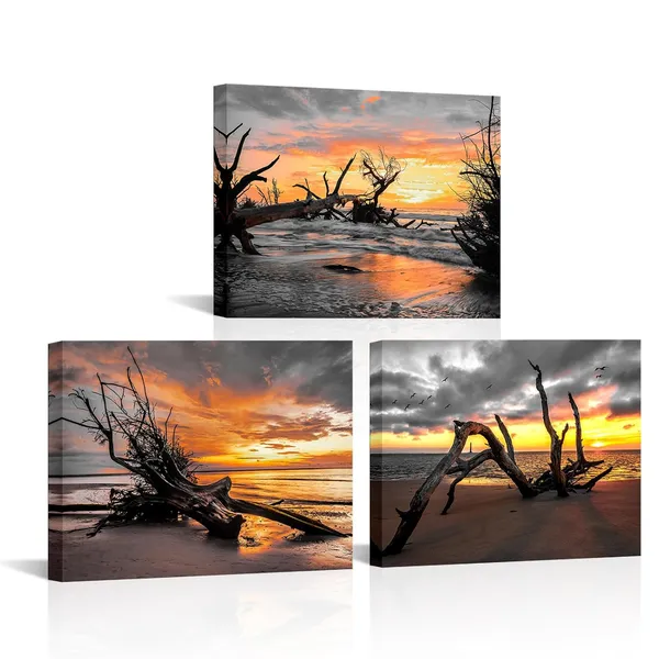 Multicolor_Beach_Sunset_Pictures_Wall_Art_Dead_Tree_Coastal_Seaside_Canvas_Painting_Prints_South_Cali|_Fornia_Beach_Landscape_Gallery_Wrapped_12"x16"