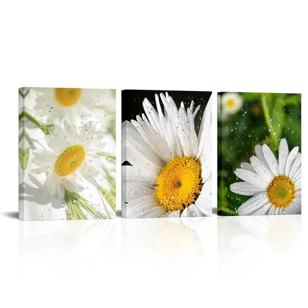 Multicolor_Daisy_Wall_Art_Country_Pictures_on_Canvas_Flower_Prints_Bathroom_Bedroom_Wall_Decor_12"x16"_Each_Framed