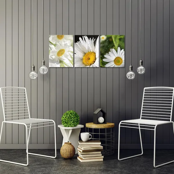 Multicolor_Daisy_Wall_Art_Country_Pictures_on_Canvas_Flower_Prints_Bathroom_Bedroom_Wall_Decor_12"x16"_Each_Framed