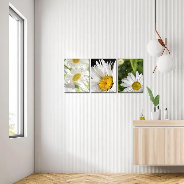 Multicolor_Daisy_Wall_Art_Country_Pictures_on_Canvas_Flower_Prints_Bathroom_Bedroom_Wall_Decor_12"x16"_Each_Framed