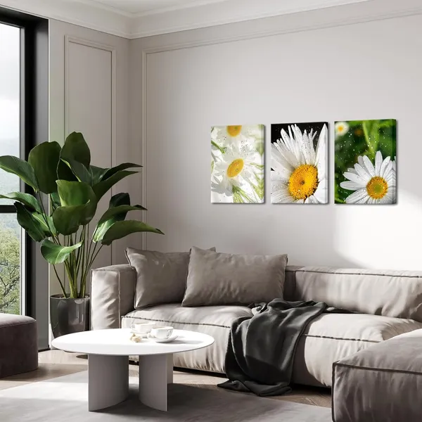 Multicolor_Daisy_Wall_Art_Country_Pictures_on_Canvas_Flower_Prints_Bathroom_Bedroom_Wall_Decor_12"x16"_Each_Framed