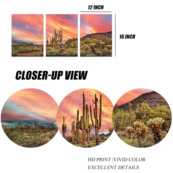 Multicolor_3_Piece_Cactus_Desert_Canvas_Art_the_Sonoran_Desert_Sunset_Landscape_Picture_Prints_Arizona_Western_View_Painting_|_For_Bedroom_Bathroom_Wall_Decor_Framed_12"x16"_(Small)