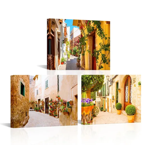 Multicolor_Canvas_Wall_Art_Mediterranean_Villa_Beautiful_Street_Painting_Pictures_Greece_Architecutre_Prints_Wall_Decor_Framed_(Small)