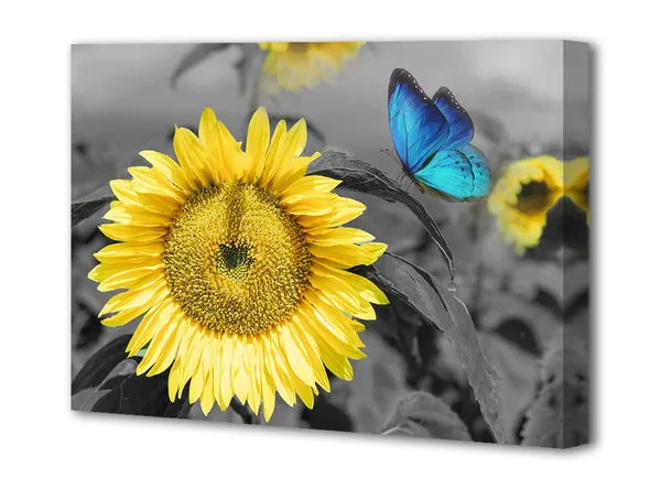 Multicolor_Canvas_Wall_Art_Sunflower_Blue_Butterfly_Yellow_Flowers_Pictures_Black_and_White_Painting_Prints_Framed_Artwork_|_For_Bedroom_Kitchen_Dinning_Room_Living_Room_Office_Home_Decor-_16"X12",_One_Panel,_Gallery_Wrapped