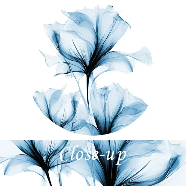 Multicolor_KREATIVE_ARTS_Blue_Flickering_Flower_Canvas_Wall_Art_-_Modern_Abstract_Paintings,_4_Pcs,_12x16_Each,_Graceful_Floral_Pictures,_Gallery_Wrapped_|_For_Living_Room,_Bedroom,_Office_Home_Decor