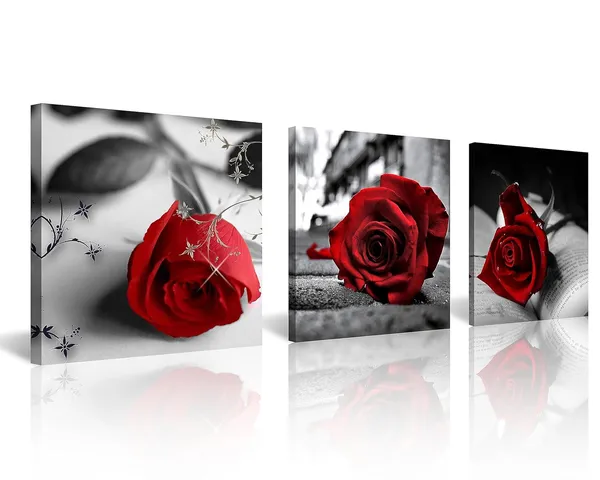 Multicolor_NAN_Wind_Canvas_Print_3_Pcs_Black_and_White_Red_Rose_Canvas_Art_Abstract_Wall_Art_Decorations_Flower_Picture_on_Canvas_|_For_Home_Decor_Valentines_Gift_Stretched_And_Framed_12X12inches