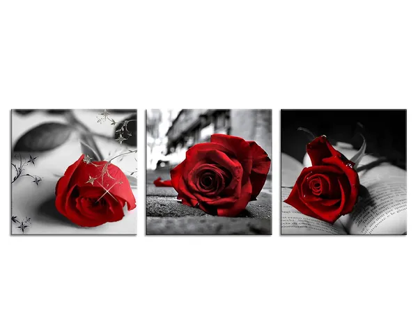 Multicolor_NAN_Wind_Canvas_Print_3_Pcs_Black_and_White_Red_Rose_Canvas_Art_Abstract_Wall_Art_Decorations_Flower_Picture_on_Canvas_|_For_Home_Decor_Valentines_Gift_Stretched_And_Framed_12X12inches