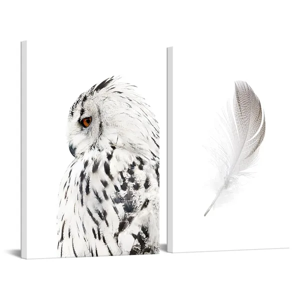 Multicolor_Contemporary_Wall_Art_Canvas_Grey_Owl_Pictures_|_For_Living_Room_Feather_Paintings_Modern_Animal_Prints_Giclee_Artwork_Stretched_Ready_to_Hang,Each_Piece_16x24_inch