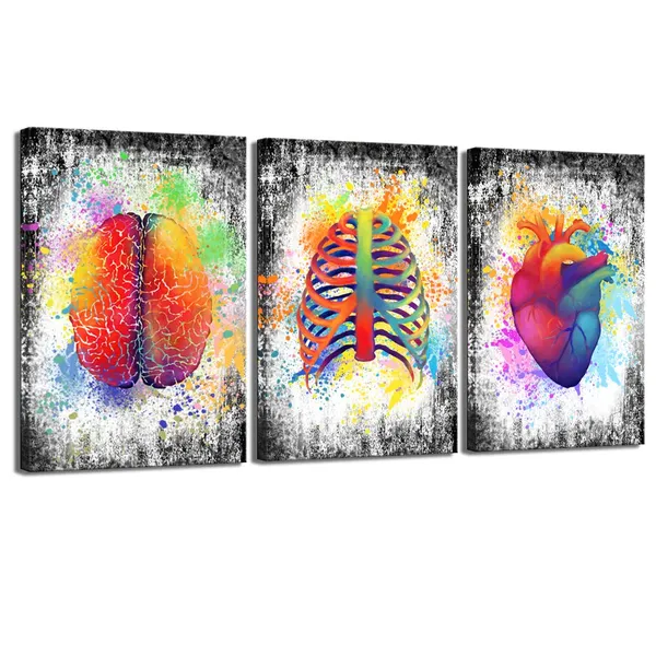 Multicolor_3_Piece_Canvas_Wall_Art_Abstract_Human_Brain_Rib_Cage_Heart_Painting_Art_Prints_|_For_Medical_Office_Wall_Decor_Education_Science_Artwork_Framed_Gifts_|_For_Students_Doctors_(16x24inchesx3pcs)