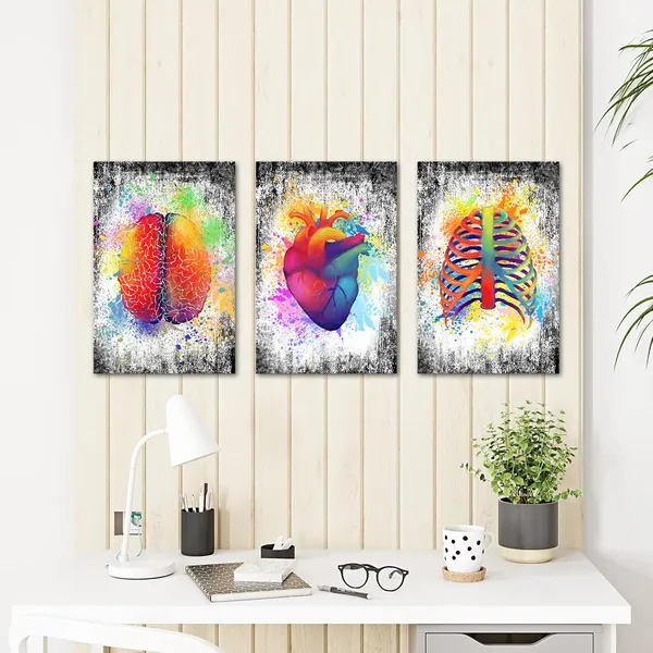 Multicolor_3_Piece_Canvas_Wall_Art_Abstract_Human_Brain_Rib_Cage_Heart_Painting_Art_Prints_|_For_Medical_Office_Wall_Decor_Education_Science_Artwork_Framed_Gifts_|_For_Students_Doctors_(16x24inchesx3pcs)