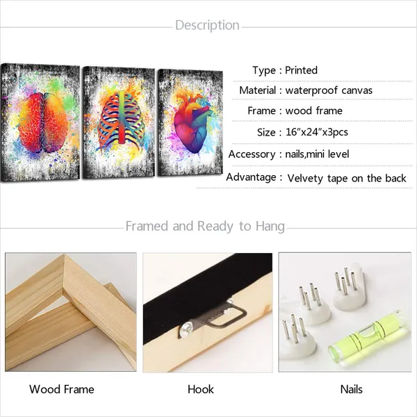Multicolor_3_Piece_Canvas_Wall_Art_Abstract_Human_Brain_Rib_Cage_Heart_Painting_Art_Prints_|_For_Medical_Office_Wall_Decor_Education_Science_Artwork_Framed_Gifts_|_For_Students_Doctors_(16x24inchesx3pcs)