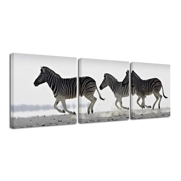Multicolor_AH3021_12-Inch-by-12-Inch_Zebra_Stretched_3_Panels_Giclee_Canvas_Prints,_Black_and_White_by_Pyradecor