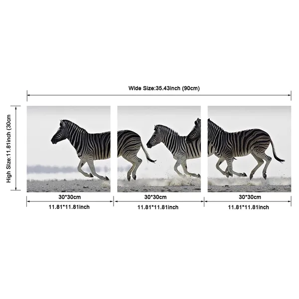 Multicolor_AH3021_12-Inch-by-12-Inch_Zebra_Stretched_3_Panels_Giclee_Canvas_Prints,_Black_and_White_by_Pyradecor