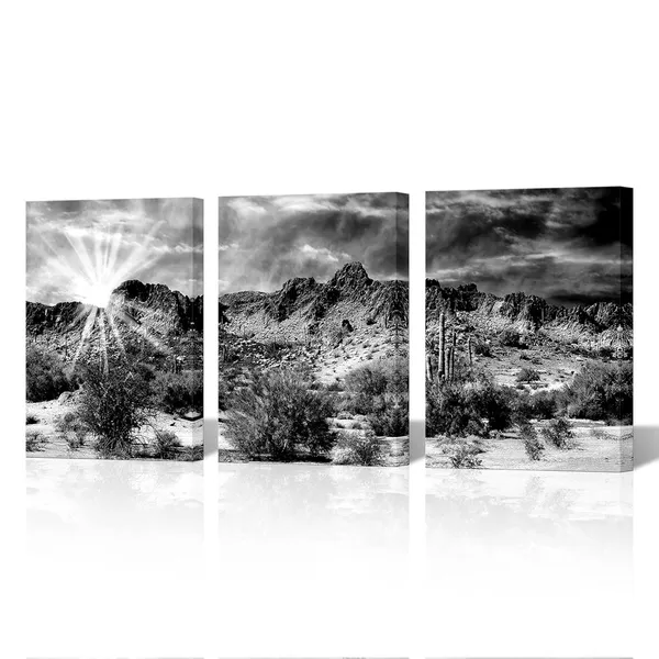 Multicolor_Desert_Canvas_Wall_Art_Black_White_Cactus_Plant_Picture_Prints_New_Mexico_Sunrise_Desert_Painting_Botanical_Cactus_Artwork_Gallery_Wrapped_12''x16''x3Pcs