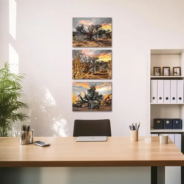 Multicolor_Black_and_White_Tree_Wall_Art_Canvas_Gold_Sunset_Landscape_Painting_Prints_on_Canvas_Tree_in_Sunrise_Pictures_Wall_Decor_Framed_12''x16''x3pcs