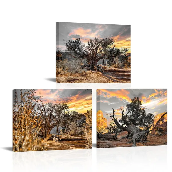Multicolor_Black_and_White_Tree_Wall_Art_Canvas_Gold_Sunset_Landscape_Painting_Prints_on_Canvas_Tree_in_Sunrise_Pictures_Wall_Decor_Framed_12''x16''x3pcs