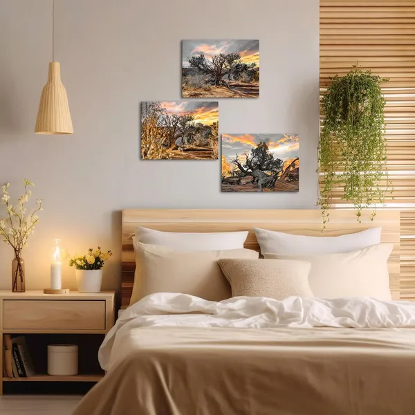 Multicolor_Black_and_White_Tree_Wall_Art_Canvas_Gold_Sunset_Landscape_Painting_Prints_on_Canvas_Tree_in_Sunrise_Pictures_Wall_Decor_Framed_12''x16''x3pcs