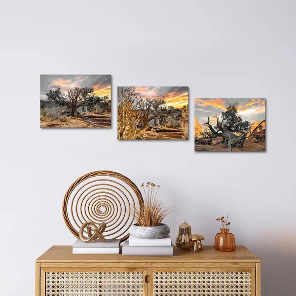 Multicolor_Black_and_White_Tree_Wall_Art_Canvas_Gold_Sunset_Landscape_Painting_Prints_on_Canvas_Tree_in_Sunrise_Pictures_Wall_Decor_Framed_12''x16''x3pcs