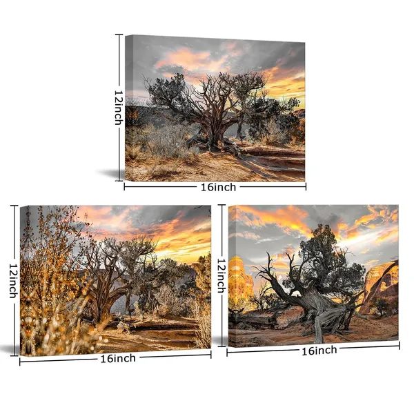Multicolor_Black_and_White_Tree_Wall_Art_Canvas_Gold_Sunset_Landscape_Painting_Prints_on_Canvas_Tree_in_Sunrise_Pictures_Wall_Decor_Framed_12''x16''x3pcs