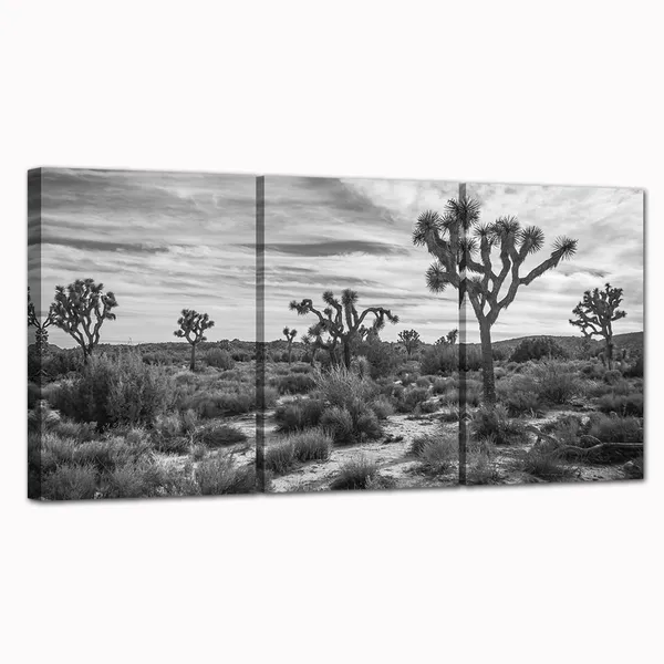 Multicolor_Black_White_Desert_Wall_Art_Joshua_Tree_on_Desert_Canvas_National_Park_Pictures_Cali|_Fornia_Nature_Scenery_Painting_Prints_|_For_Living_Room_Bedroom_Decor_Framed_(Small,_Black_White)