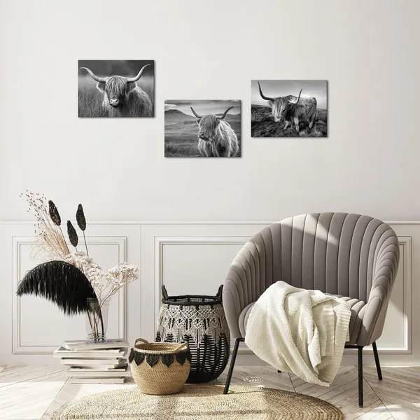 Multicolor_Highland_Cow_Wall_Art_Black_And_White_Cow_Picture_Prints_Home_Decor_Framed_Ready_To_Hang_12X16Inchx3_Pieces