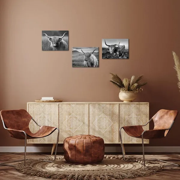 Multicolor_Highland_Cow_Wall_Art_Black_And_White_Cow_Picture_Prints_Home_Decor_Framed_Ready_To_Hang_12X16Inchx3_Pieces