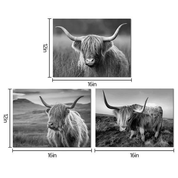 Multicolor_Highland_Cow_Wall_Art_Black_And_White_Cow_Picture_Prints_Home_Decor_Framed_Ready_To_Hang_12X16Inchx3_Pieces