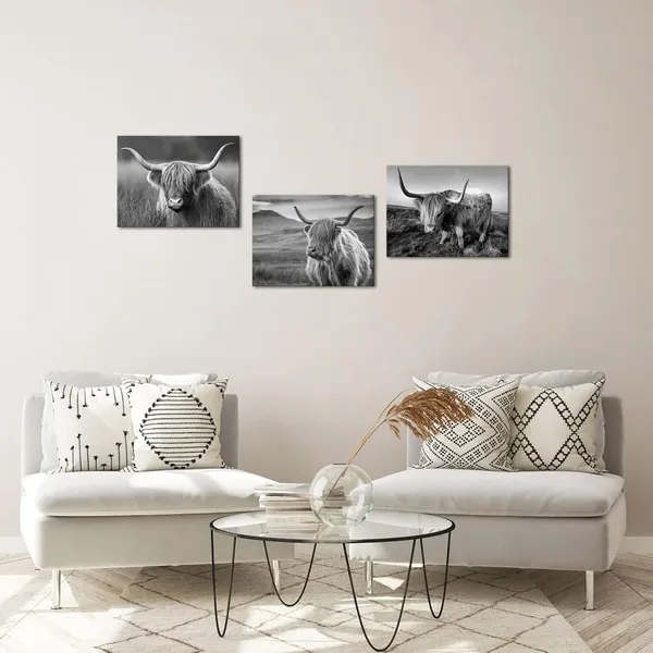 Multicolor_Highland_Cow_Wall_Art_Black_And_White_Cow_Picture_Prints_Home_Decor_Framed_Ready_To_Hang_12X16Inchx3_Pieces