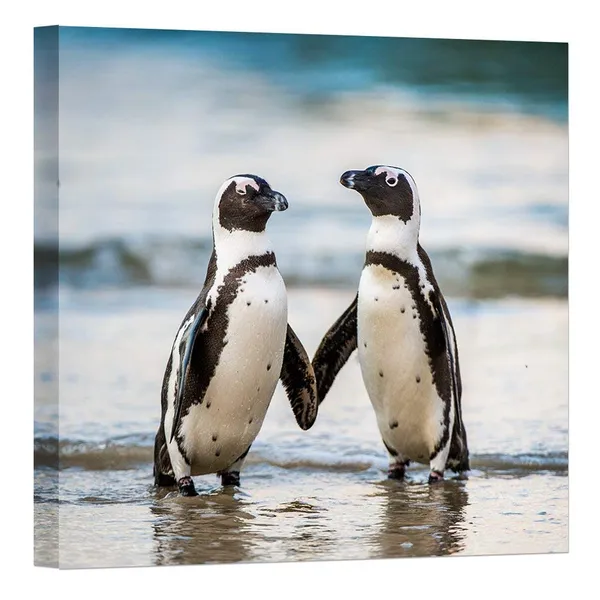 Multicolor_Modern_Wild_Animal_Painting_Canvas_Prints_African_Penguin_On_The_Sandy_Beach_Picture_Wall_Art_|_For_Home_Decor_Artwork_24??X24??