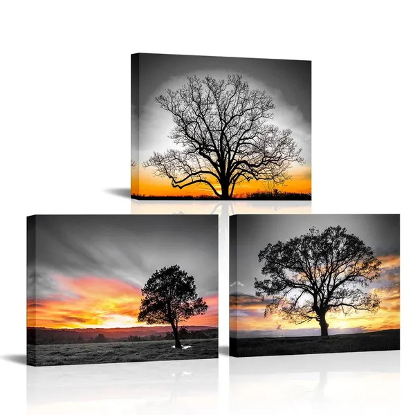 Gray_3_Pieces_Black_And_White_Tree_With_Sunset_On_Wilderness_Canvas_Prints_Wall_Art_|_Forest_Picture_Painting_Nature_Lanscape_Artwork_|_For_Living_Room_Bedroom_Wall_Decor_12X16Inchx3Pcs