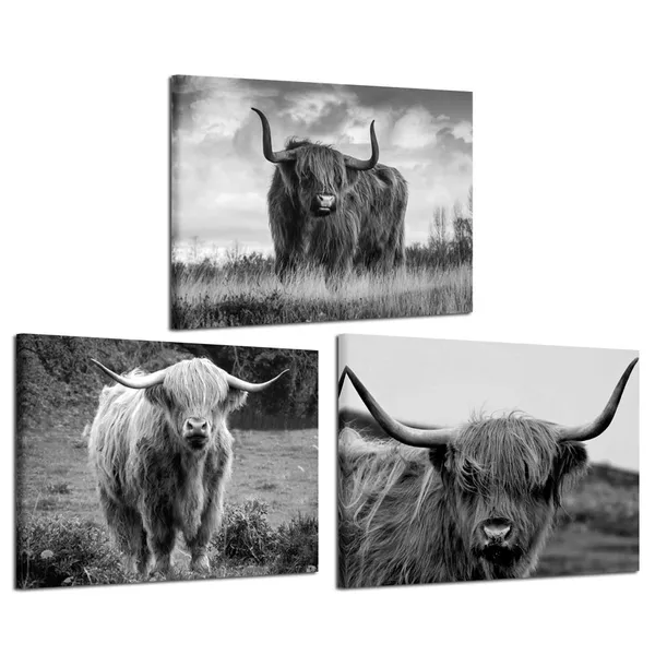 Multicolor_Canvas_Print_Wall_Art_Black_And_White_Freedom_Highland_Cow_Pictures_Painting_|_For_Living_Room_Bedroom_Modern_Home_Decor_Ready_To_Hang_Stretched_And_Framed_Artwork_12X16Inchx3Pcs