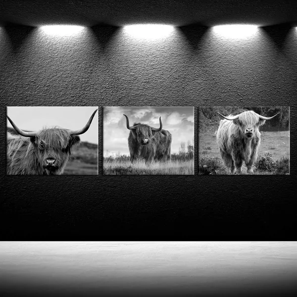 Multicolor_Canvas_Print_Wall_Art_Black_And_White_Freedom_Highland_Cow_Pictures_Painting_|_For_Living_Room_Bedroom_Modern_Home_Decor_Ready_To_Hang_Stretched_And_Framed_Artwork_12X16Inchx3Pcs