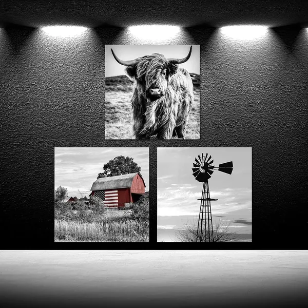 Black_Black_And_White_Canvas_Set_Of_3_Wall_Art_Prints_Farmhouse_Barn_American_Flag_Highland_Cow_And_Windmill_Pictures_Rustic_Farm_Countryside_Framed_Artwork_Ready_To_Hang_Each_Panel_20X20_(Large)